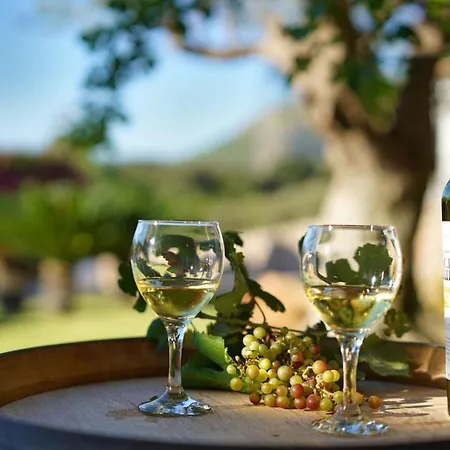 Holiday home Llop- Wunderschoene Moderne Mit Sauna By Interhome Pollenca