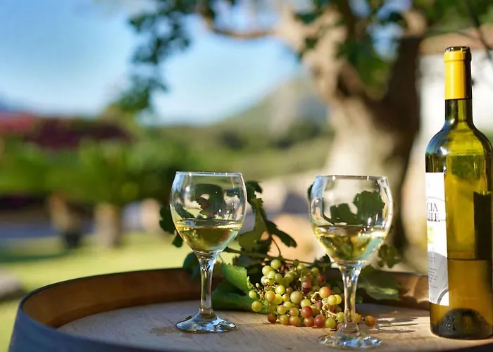 Dom wakacyjny Llop- Wunderschoene Moderne Mit Sauna By Interhome Pollensa